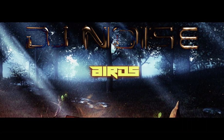 DJ Noise - Birds